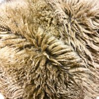 Sheepskin Yetti Quad Rug in Hamstone