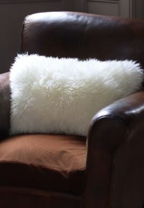 Lumbar-Cushion-Ivory-Yetti-50-x-30-pillow-