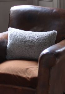 Lumbar-Cushion-Mole-Swedish-50-x-30-pillow-