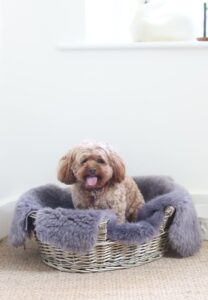 Sheepskin Pet Rug Choc Grey with Dog