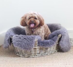 Sheepskin Pet Rug Choc Grey with Dog