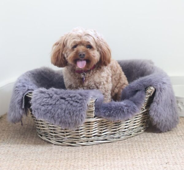 Sheepskin Pet Rug Choc Grey with Dog