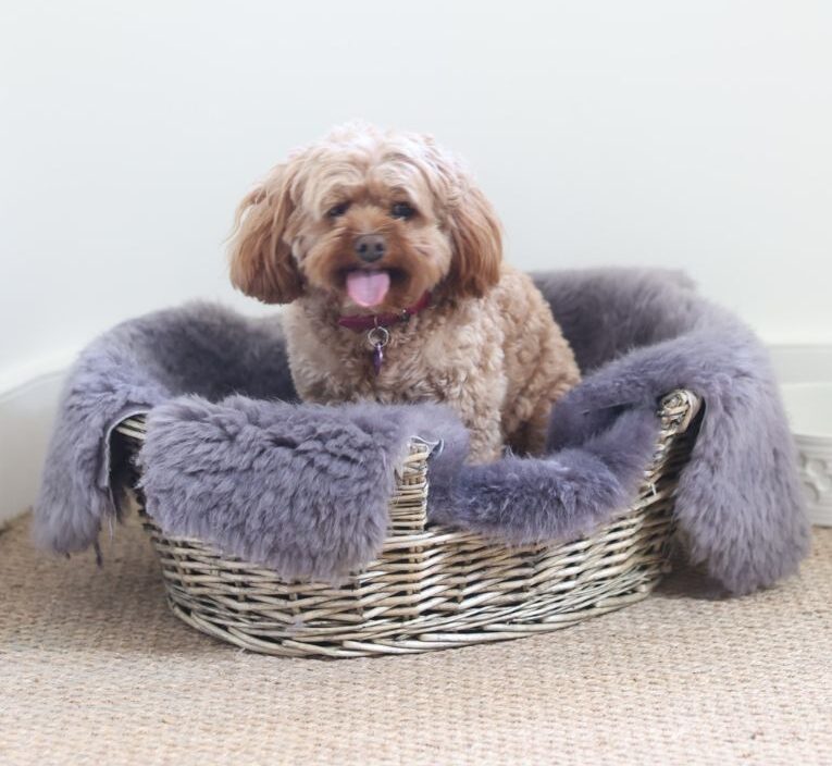 Sheepskin Pet Rug Choc Grey with Dog