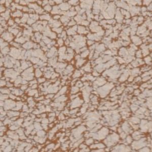 Canvas Leather Swatch