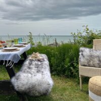 Sheepskin Double Rug Black Tipped Luxe (2)