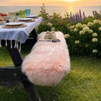 Sheepskin Luxe Rugs double rose