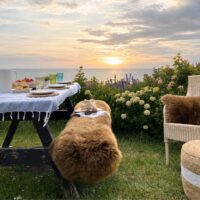 Toffee Double sheepskin rug luxe (1) Sheepskin Rug Double Luxe Toffee by Owen Barry