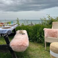 sheepskin Double Rug Dusky PInk Luxe
