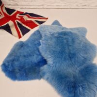 56341219-a114-44ef-84ae-b94fb19b83f0