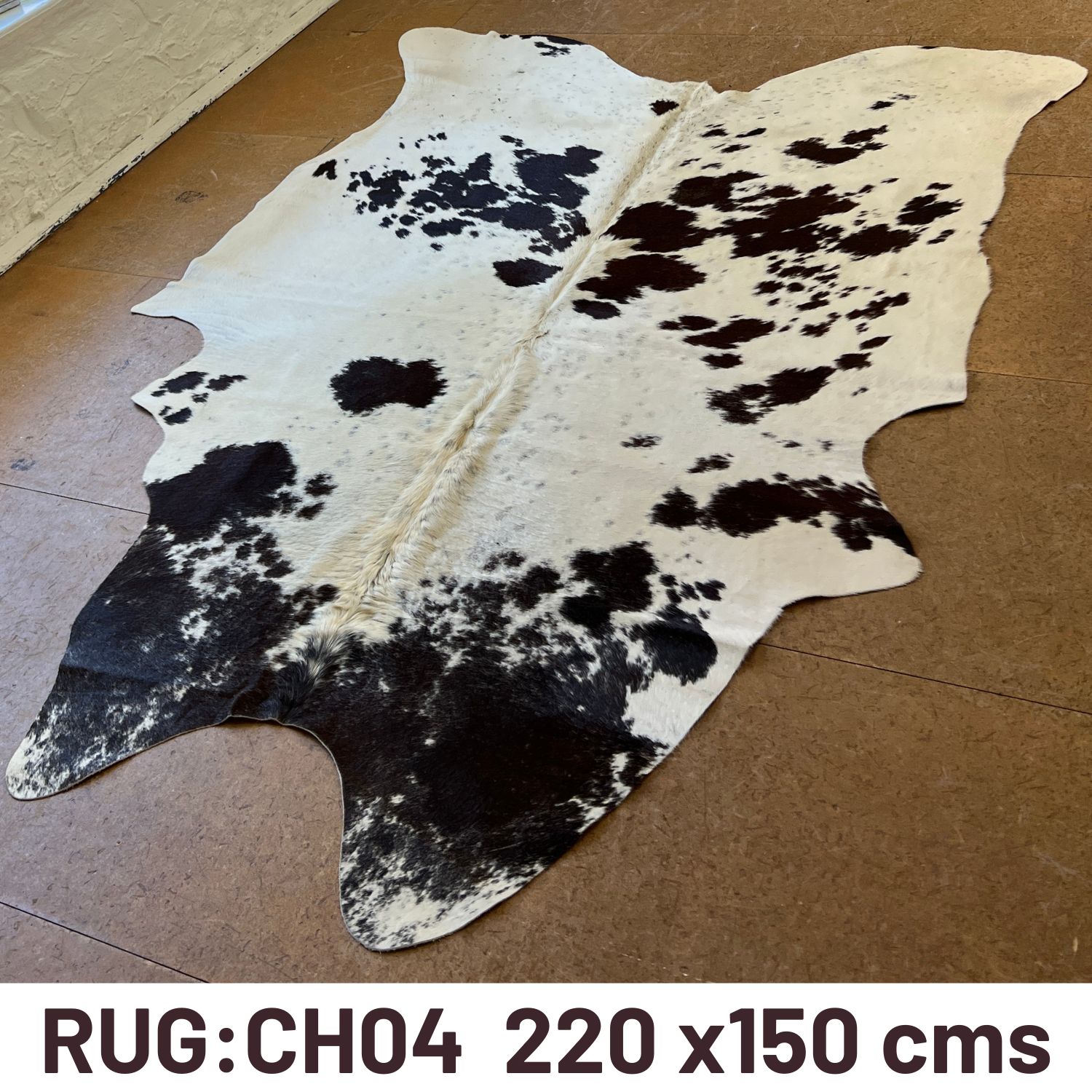 CH04 220 X 150 CMS (1) CH04 220 X 150 CMS (1)