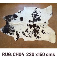 CH04 220 X 150 CMS (2) CH04 220 X 150 CMS (1)