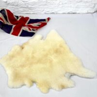 a55b8a5b-d1ca-4598-b119-411e8e3e25b9