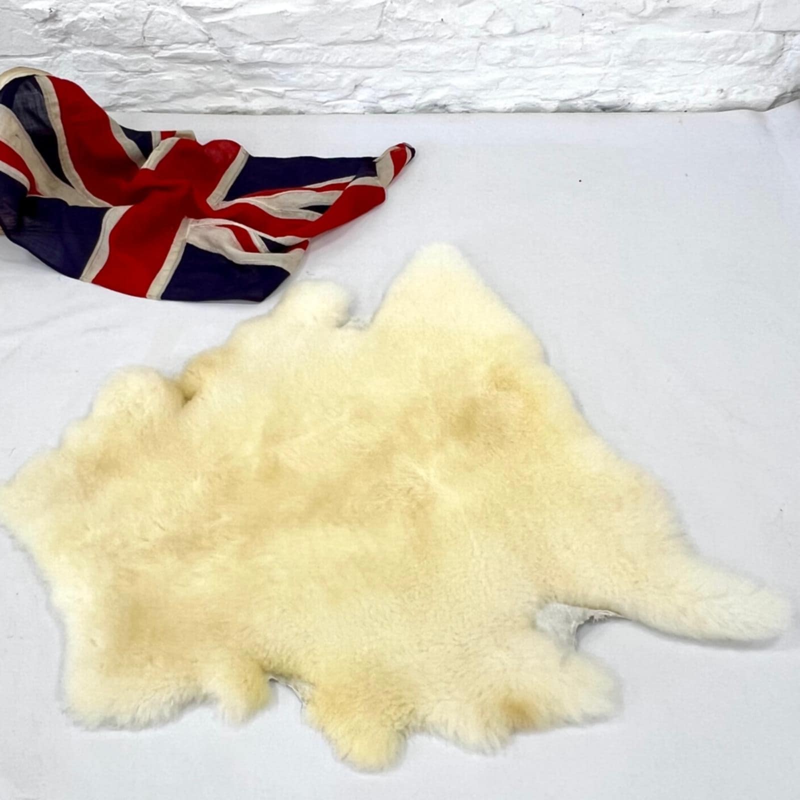 a55b8a5b-d1ca-4598-b119-411e8e3e25b9