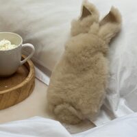 Sheepskin Bobtail Bunny Cashmere Sheepskin Bobtail Bunny Cashmere