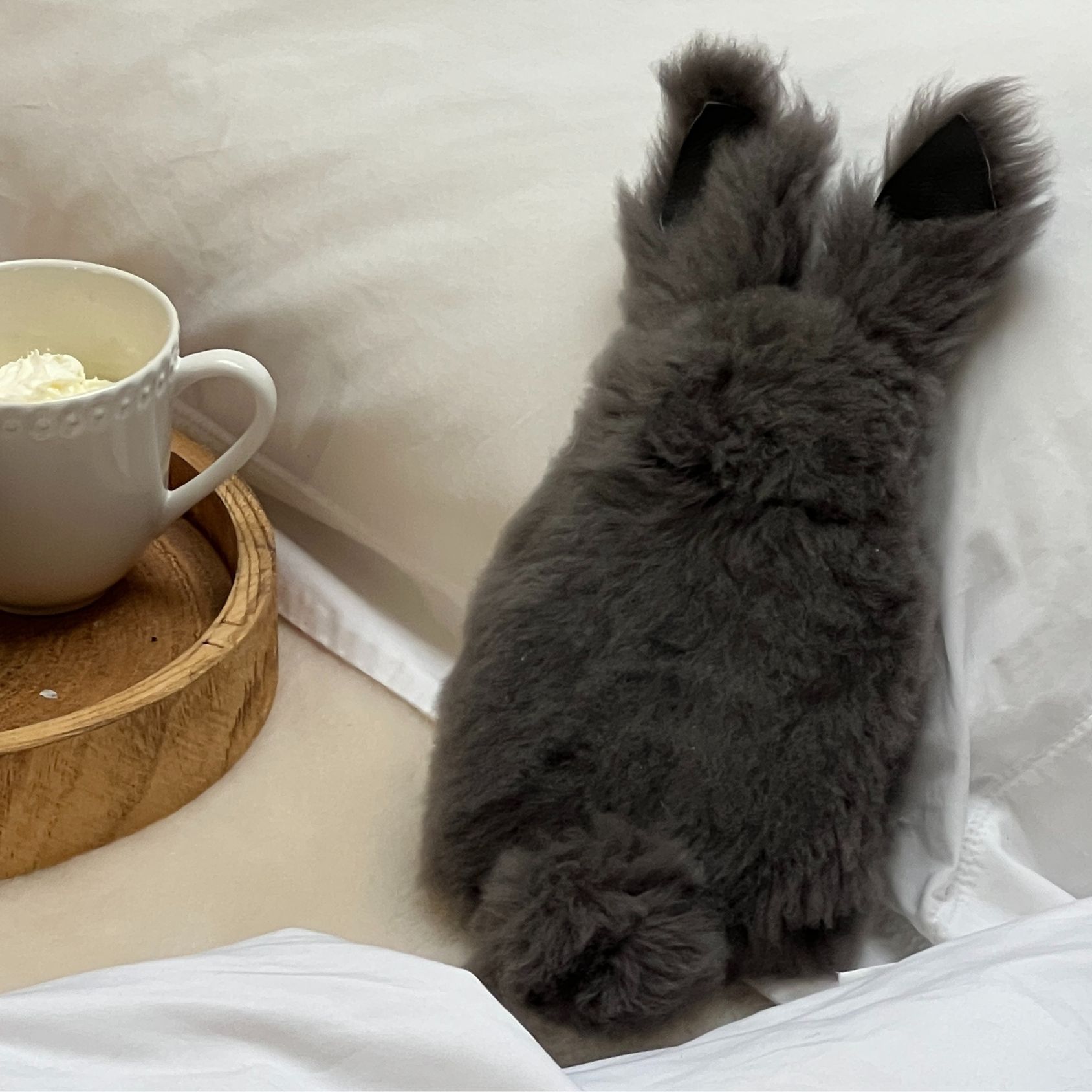 Sheepskin Bobtail Bunny Grey HWBC