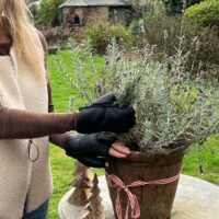 Sheepskin Gloves Ladies Black Napalan Fingerless (2) Sheepskin Gloves Ladies Black Napalan Fingerless