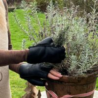 Sheepskin Gloves Ladies Black Napalan Fingerless (3) Sheepskin Gloves Ladies Black Napalan Fingerless