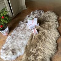 Sheepskin Rug Double (3) Sheepskin Rug Double Taupe and Wolf Tipped
