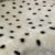 White Polka Dot
