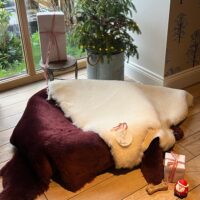 sheepskin rug pet rug xl (1) sheepskin rug pet rug xl Ivory