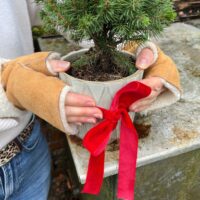 Sheepskin-Tube-Mittens-Brandy Cream