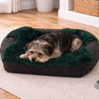 Sheepskin Pet Rug Forest Pine