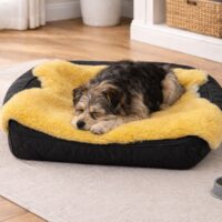 Sheepskin Pet Rug Golden