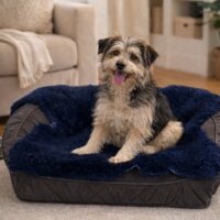 Sheepskin Pet Rug Royal Blue